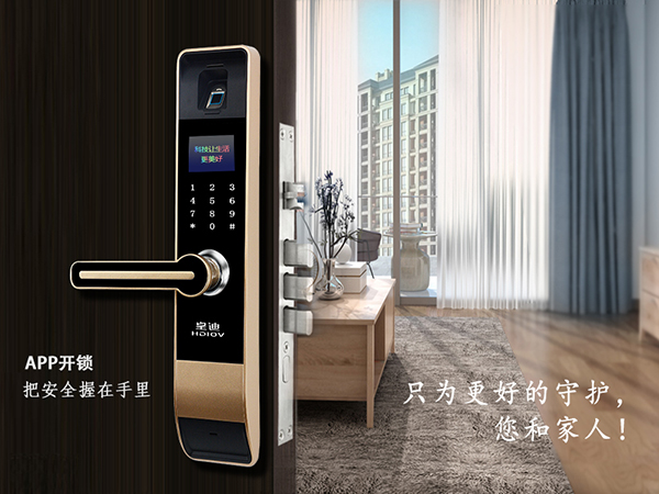 智能鎖廠家在國內普遍嗎？